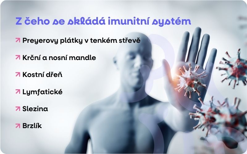 imunitní system
